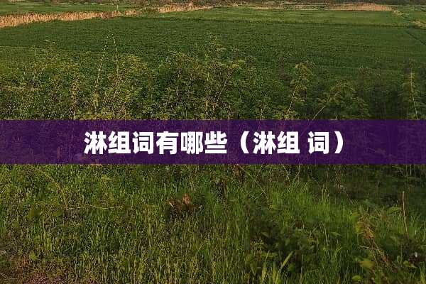 淋组词有哪些（淋组 词）
