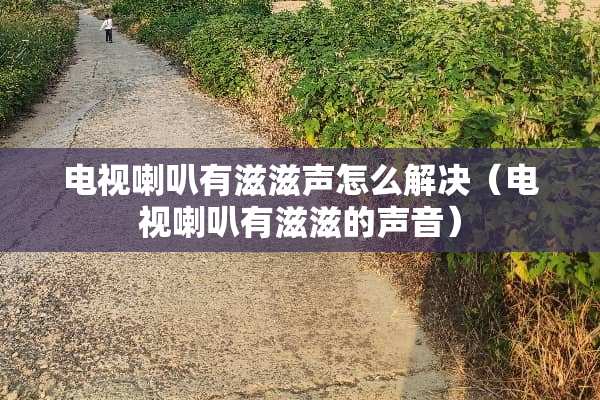 电视喇叭有滋滋声怎么解决（电视喇叭有滋滋的声音）