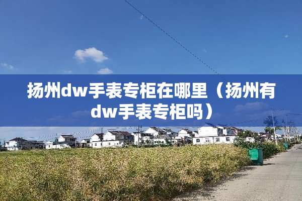 扬州dw手表专柜在哪里（扬州有dw手表专柜吗）