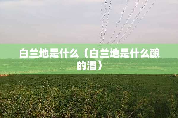 白兰地是什么（白兰地是什么酿的酒）