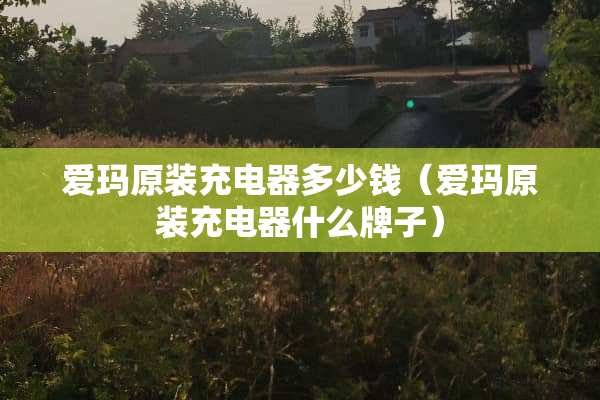 爱玛原装充电器多少钱（爱玛原装充电器什么牌子）