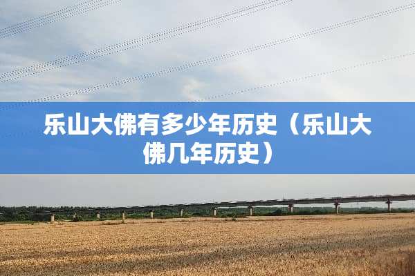 乐山大佛有多少年历史（乐山大佛几年历史）