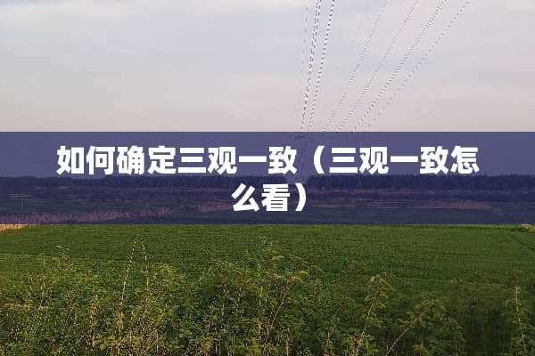 如何确定三观一致（三观一致怎么看）