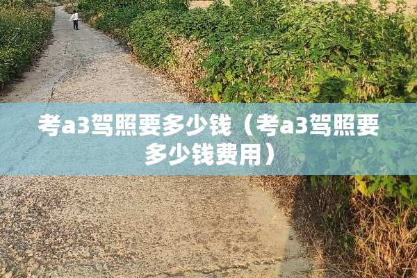 考a3驾照要多少钱（考a3驾照要多少钱费用）