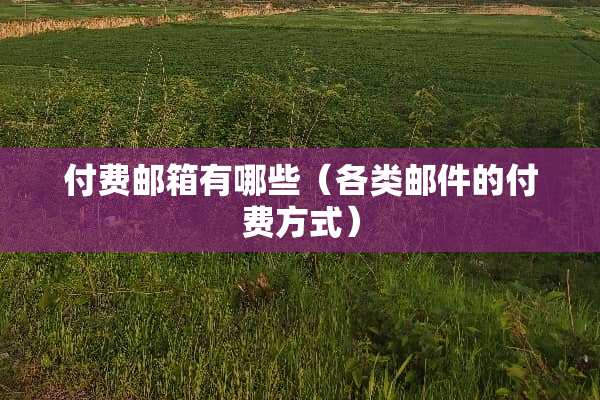 付费邮箱有哪些（各类邮件的付费方式）