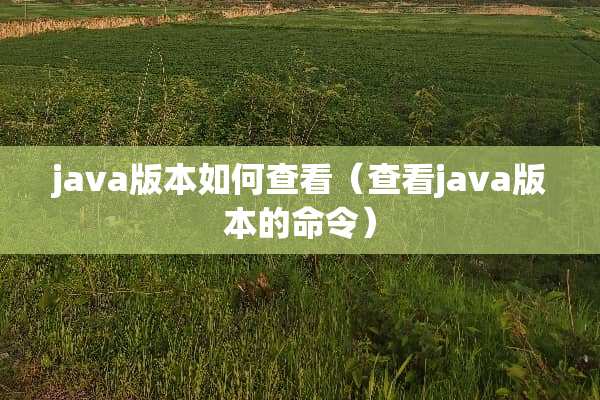 java版本如何查看（查看java版本的命令）