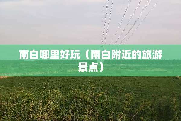 南白哪里好玩（南白附近的旅游景点）