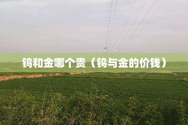 钨和金哪个贵（钨与金的价钱）