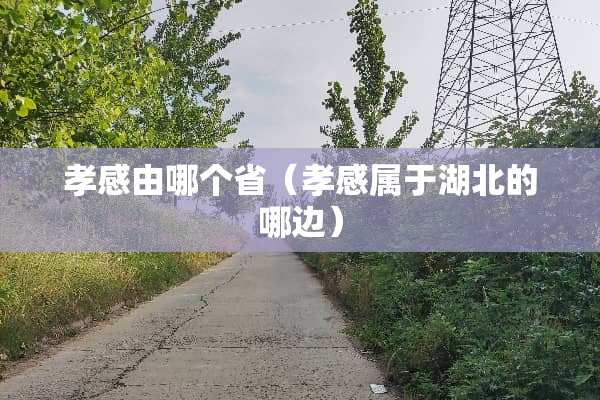 孝感由哪个省（孝感属于湖北的哪边）