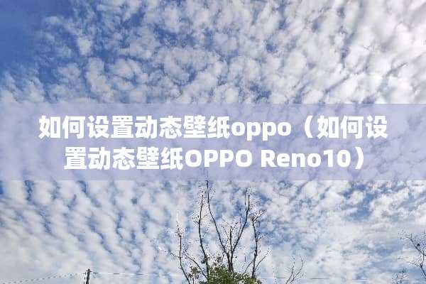 如何设置动态壁纸oppo（如何设置动态壁纸OPPO Reno10）