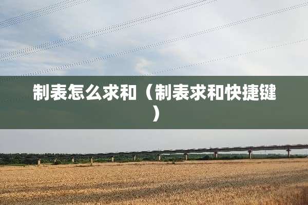 制表怎么求和（制表求和快捷键）