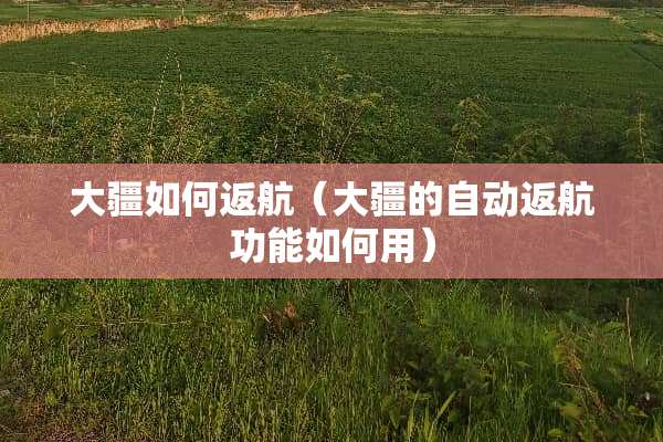 大疆如何返航（大疆的自动返航功能如何用）