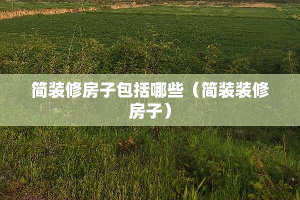 简装修房子包括哪些（简装装修房子）