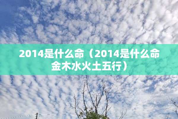2014是什么命（2014是什么命金木水火土五行）