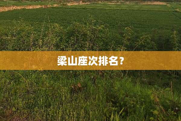 梁山座次排名？