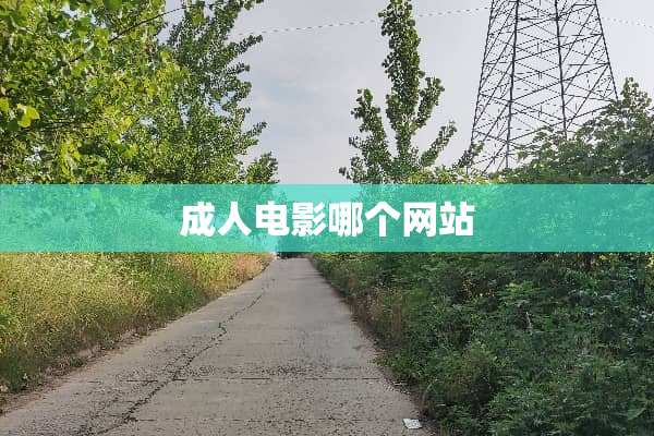 **电影哪个网站