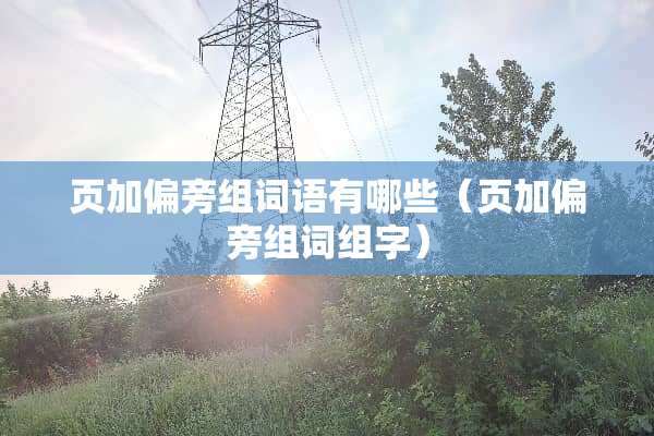页加偏旁组词语有哪些（页加偏旁组词组字）