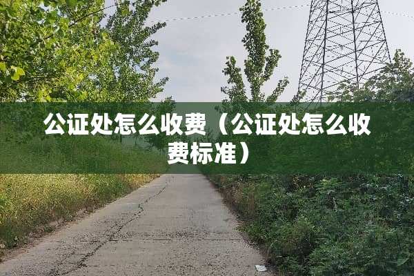 公证处怎么收费（公证处怎么收费标准）