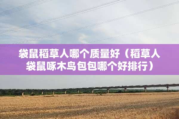 袋鼠稻草人哪个质量好（稻草人袋鼠啄木鸟包包哪个好排行）