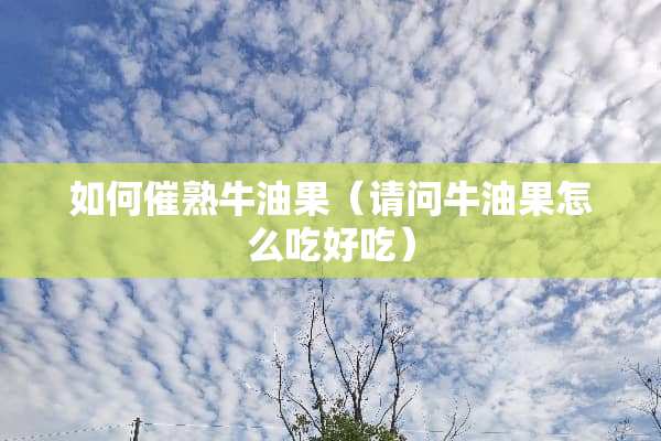 如何催熟牛油果（请问牛油果怎么吃好吃）