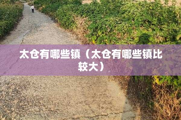 太仓有哪些镇（太仓有哪些镇比较大）
