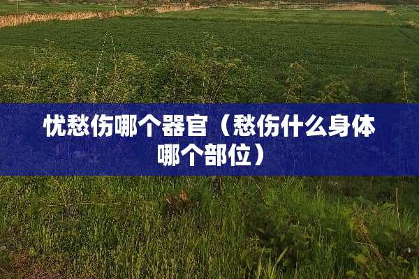 忧愁伤哪个**（愁伤什么身体哪个部位）
