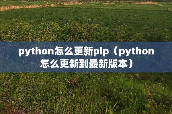 python怎么更新pip（python怎么更新到最新版本）