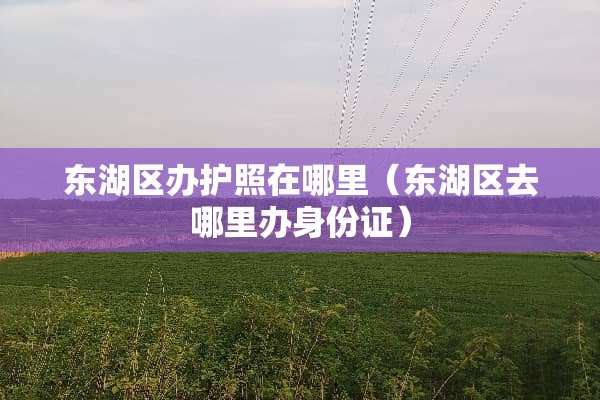 东湖区办护照在哪里（东湖区去哪里办身份证）