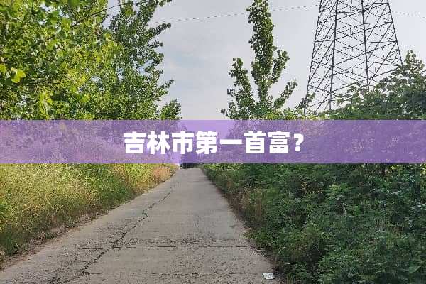 吉林市第一首富？