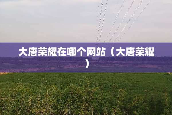 大唐荣耀在哪个网站（大唐荣耀）