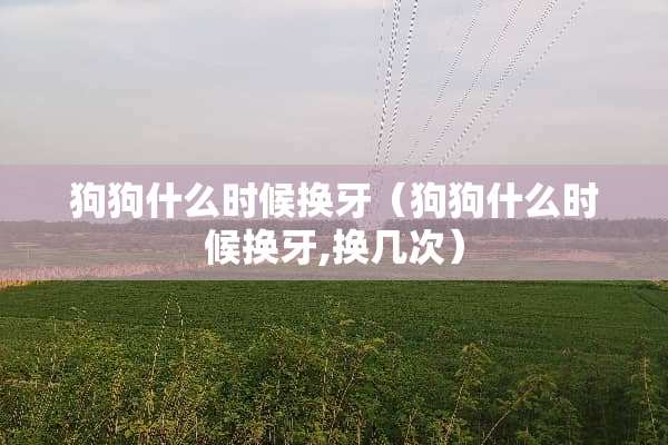 狗狗什么时候换牙（狗狗什么时候换牙,换几次）
