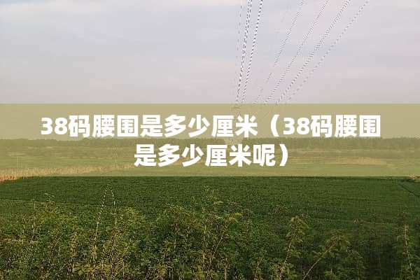 38码腰围是多少厘米（38码腰围是多少厘米呢）