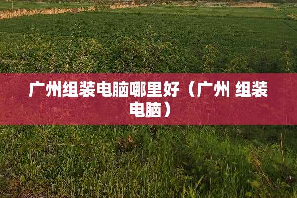 广州组装电脑哪里好（广州 组装电脑）