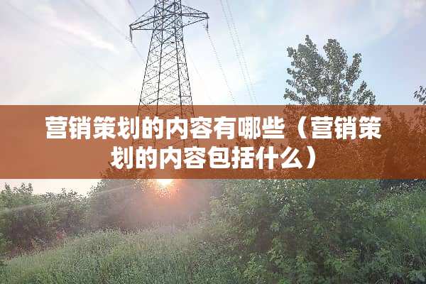 营销策划的内容有哪些（营销策划的内容包括什么）