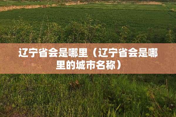 辽宁省会是哪里（辽宁省会是哪里的城市名称）