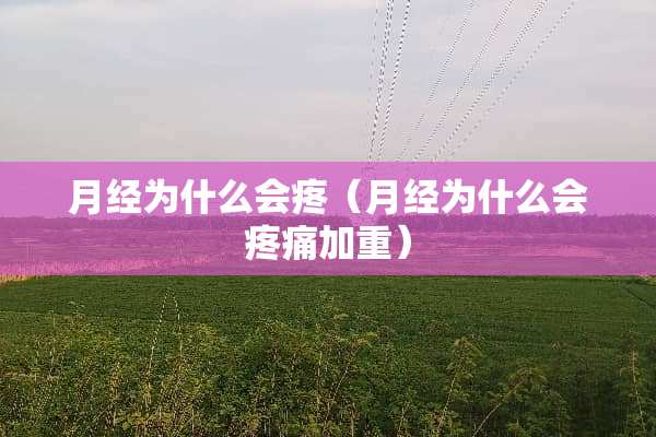 月经为什么会疼（月经为什么会疼痛加重）