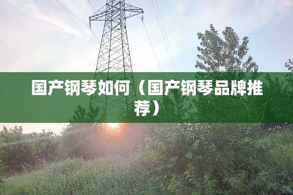 国产钢琴如何（国产钢琴品牌推荐）
