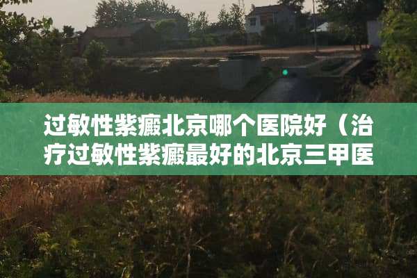 过敏性紫癜北京哪个医院好（治疗过敏性紫癜最好的北京三甲医院）