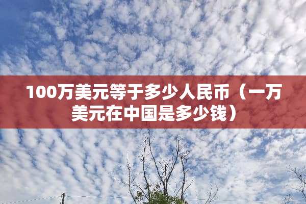 100万美元等于多少人民币（一万美元在中国是多少钱）