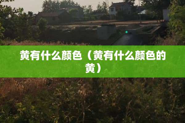 黄有什么颜色（黄有什么颜色的黄）