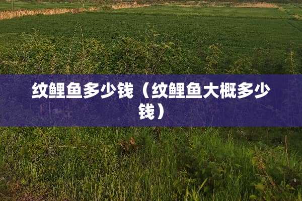 纹鲤鱼多少钱（纹鲤鱼大概多少钱）