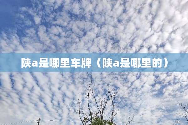 陕a是哪里车牌（陕a是哪里的）