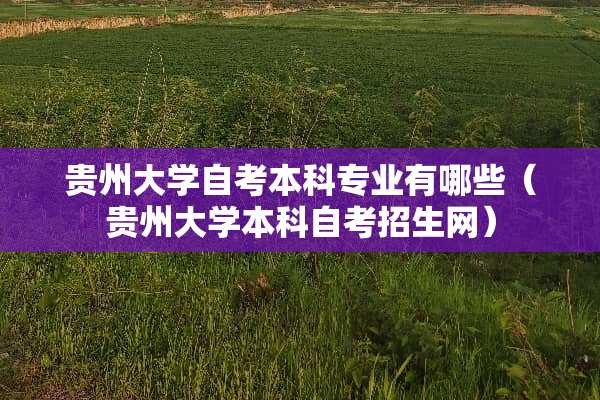贵州大学自考本科专业有哪些（贵州大学本科自考招生网）