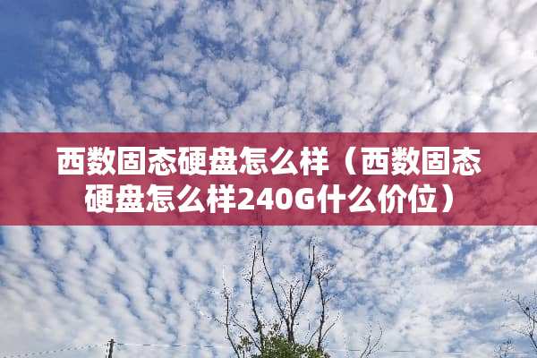 西数固态硬盘怎么样（西数固态硬盘怎么样240G什么价位）