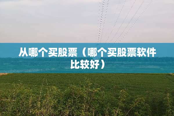 从哪个买股票（哪个买股票软件比较好）