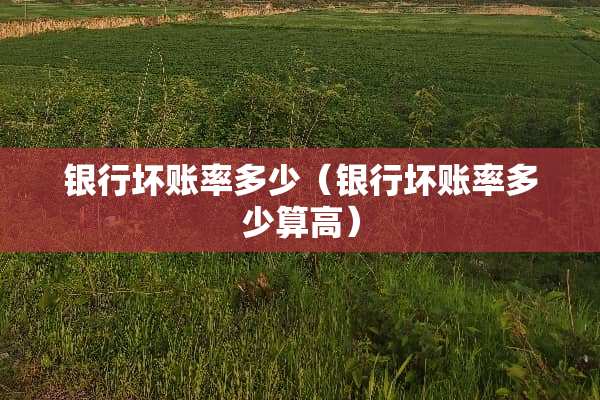 银行坏账率多少（银行坏账率多少算高）