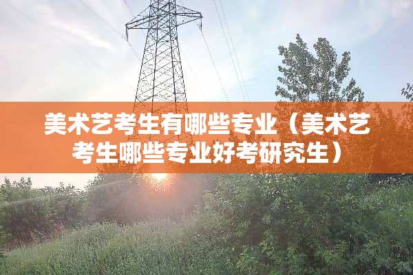 美术艺考生有哪些专业（美术艺考生哪些专业好考研究生）