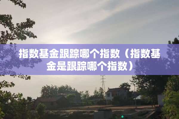 指数基金**哪个指数（指数基金是**哪个指数）