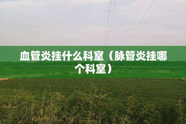 血管炎挂什么科室（脉管炎挂哪个科室）