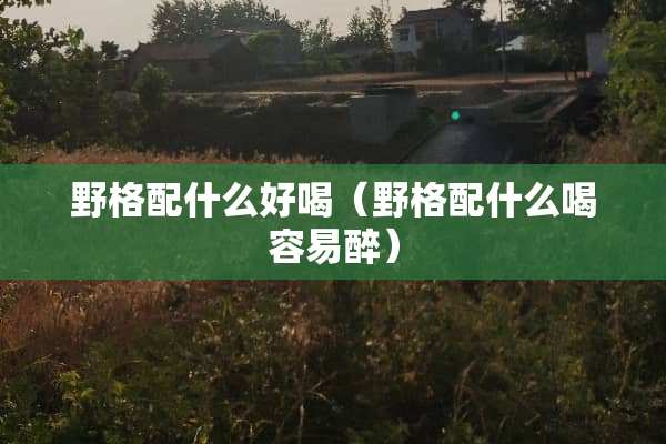 野格配什么好喝（野格配什么喝容易醉）